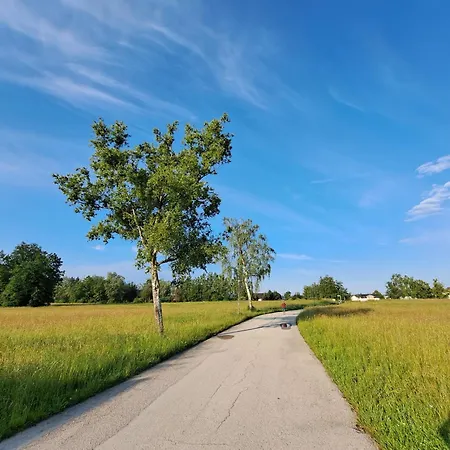 Wohnen Am Mit Garten I Seekirchen am Wallersee